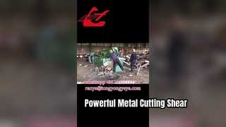 Q43-2500 قص التمساح